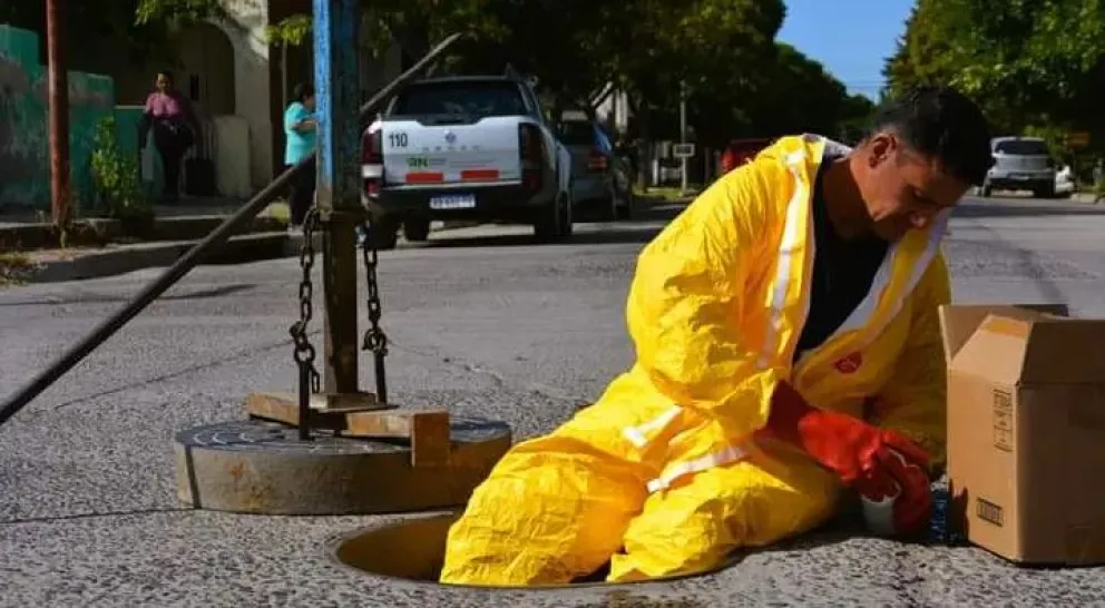 Venimos zafando: Río Negro no tiene alto riesgo por Dengue