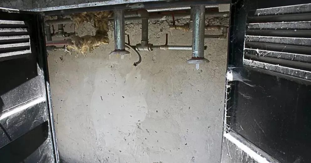 Dos malvivientes fueron vistos huir con un termotanque al hombro