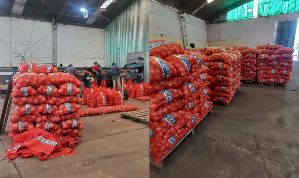 Un mensaje de buenos augurios para la exportación de cebolla