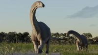 ¡Qué orgullo!: descubren un nuevo dinosaurio en la Patagonia 