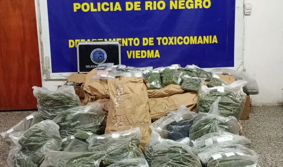 Encontraron una huerta de marihuana y hay dos detenidos