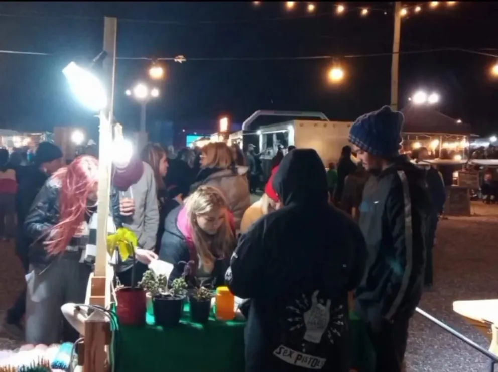 Una emprendedora y dos iniciativas: hierbas agroecológicas y stickers 