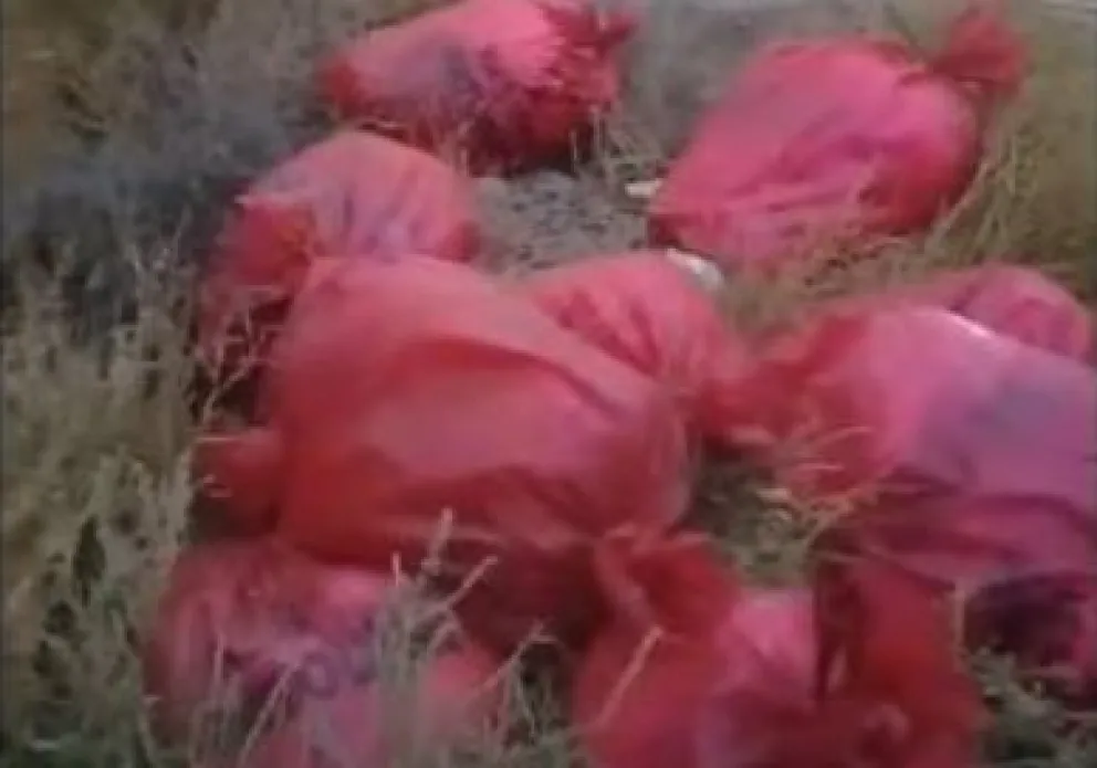 Encontraron residuos patológicos en un barrio de Viedma: el video