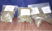 Cuatro jóvenes fueron arrestados con dos frascos de marihuana