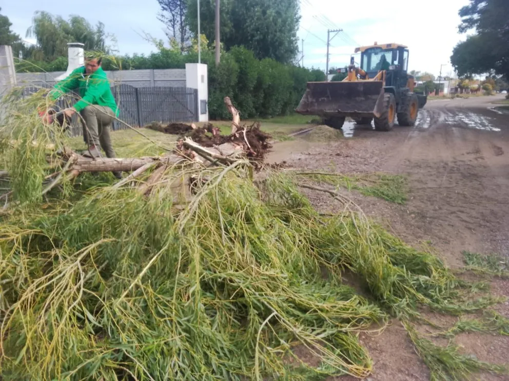 Se desarrollaron varias tareas en El Cóndor tras el temporal de lluvia y viento