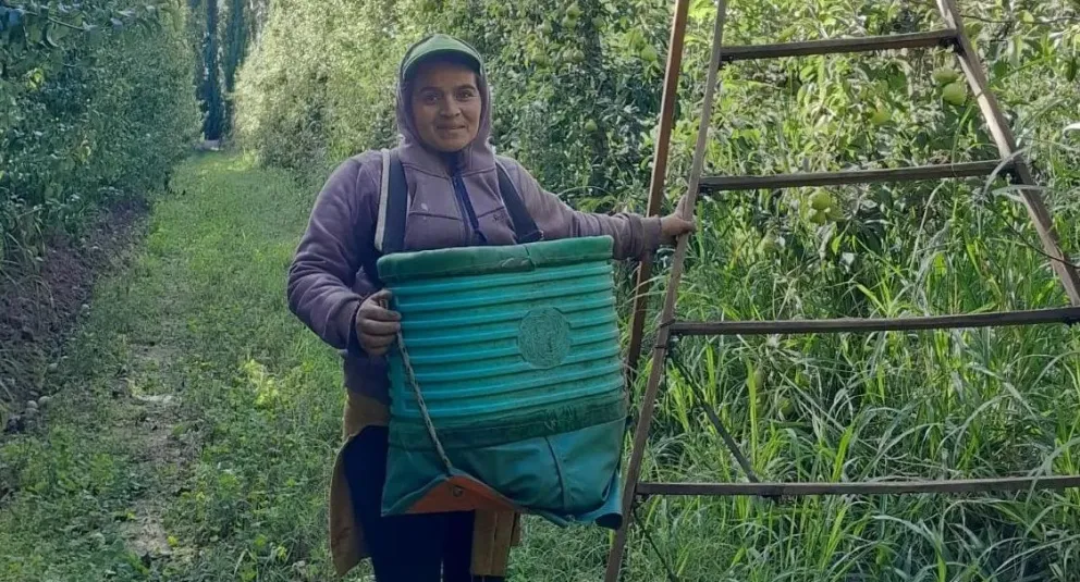 Programa Intercosecha en Río Negro: cómo pueden anotarse los trabajadores temporarios para tener un beneficio económico