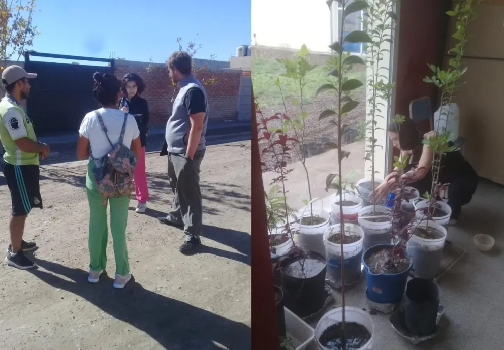 La importancia de la vegetación para el equilibrio ambiental