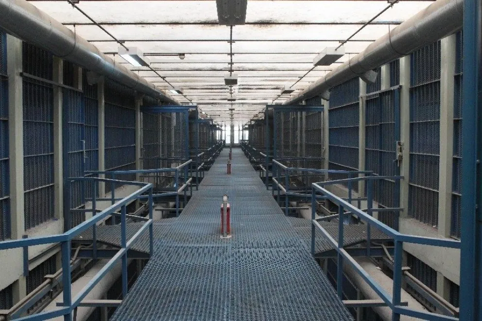 Un conflicto con chinches en la cárcel llegó hasta la Justicia ordinaria. 