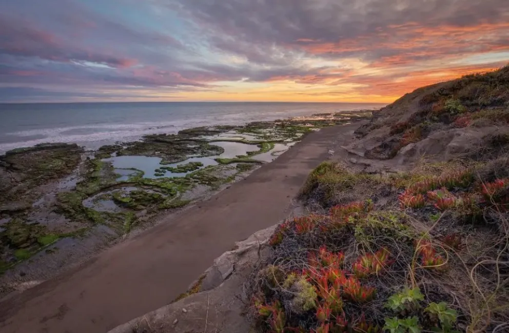 Marcelo Minichelli muestra las bellezas del Camino de la Costa