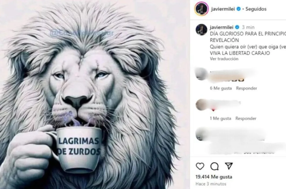 El provocador mensaje de Milei tras masiva marcha educativa: qué dijo