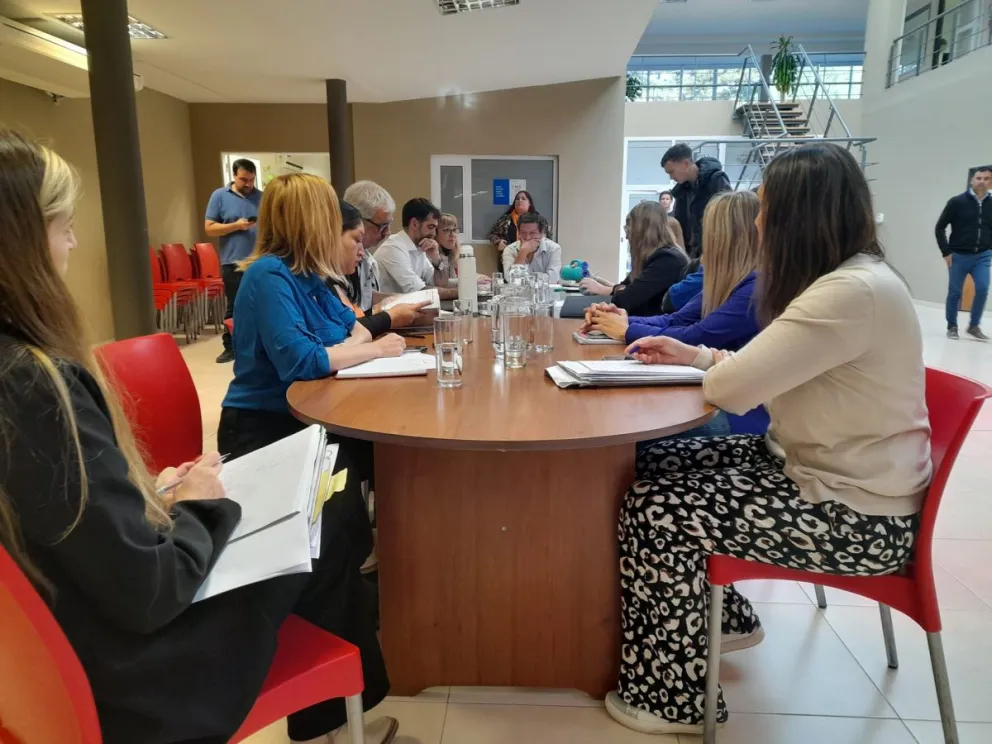 El transporte será uno de los ejes en la sesión conjunta entre el Concejo de Viedma y el de Patagones