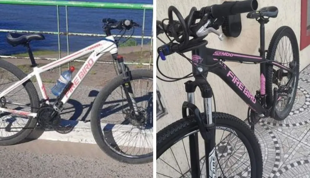 El robo de bicicletas no pasa de moda en Viedma