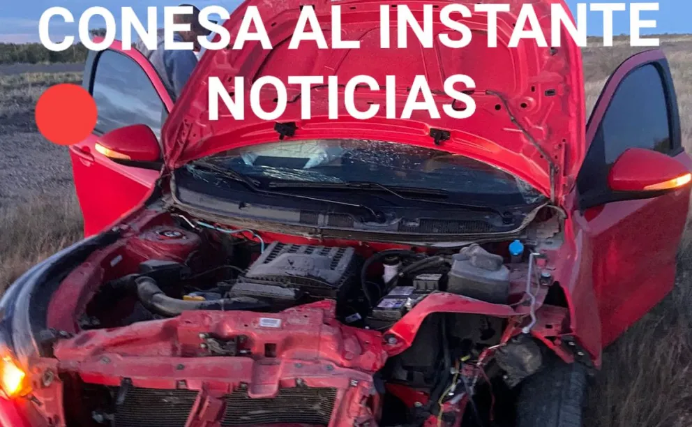 Susto en impactante choque de un Fiat Cronos con un jabalí