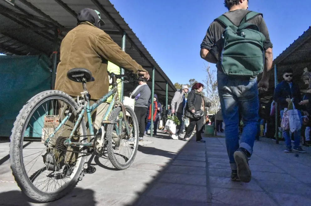 Ordenanza aprobada el año pasado por el Concejo Deliberante.