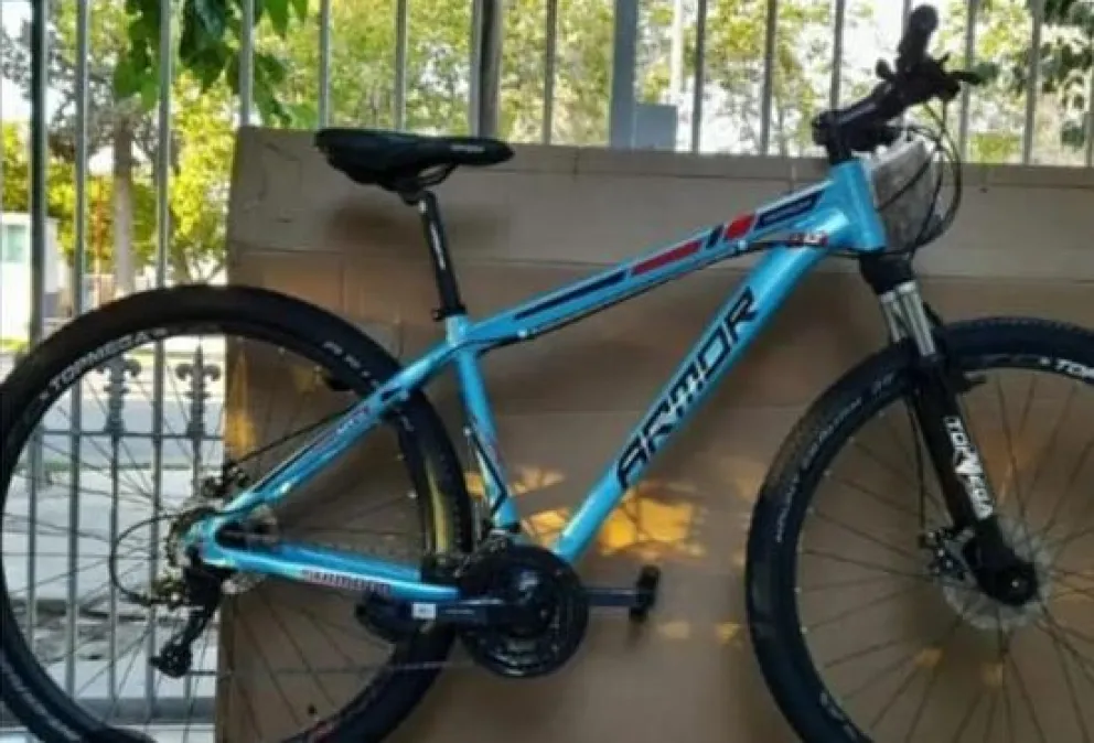 Para el libro Guinnes de los récords: aumenta el robo de bicicletas
