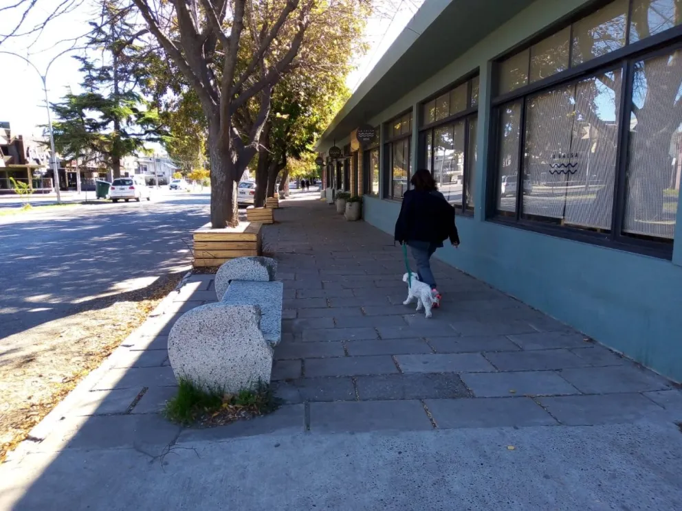 Pocas sogas y las mascotas desatadas son un peligro latente en espacios públicos