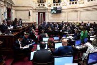 Ley Bases: el debate se intensifica en el Senado y se esperan cambios