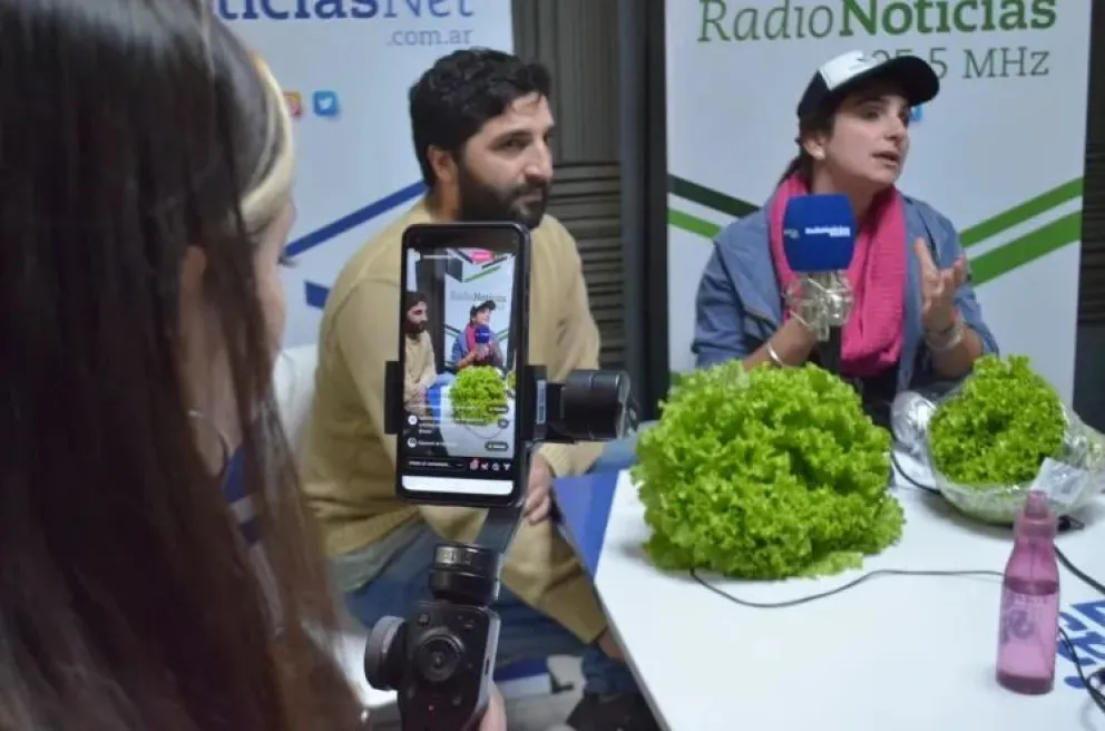 Hidroponia Patagones: de qué se trata esta producción orgánica que crece en la comarca 