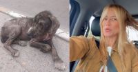 Nicole Neumann suma a su familia a una adorable perrita rescatada: su tierna historia