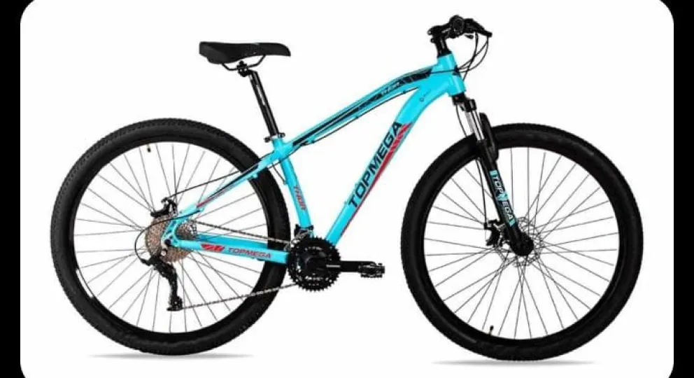 Robaron una bici del patio de una casa: era el único medio de movilidad de la víctima