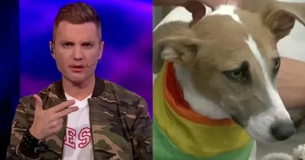 Polémica en Gran Hermano por la presencia del perro Arturo: qué dijo Santiago del Moro