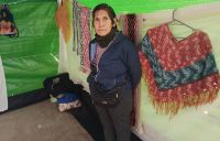 “Telares Mapuches”, un emprendimiento que rescata los saberes ancestrales 