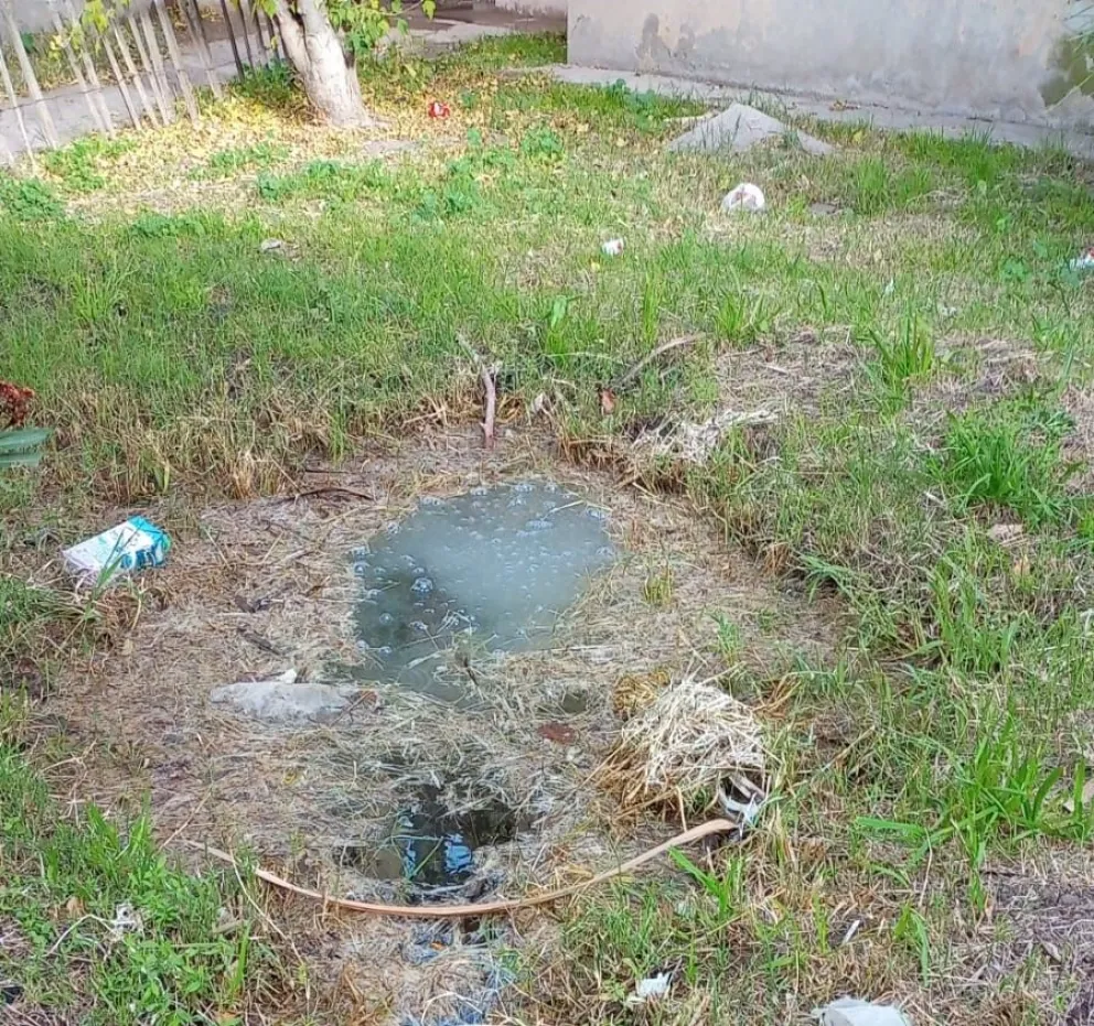 La basura y los espacios públicos inundados son una constante