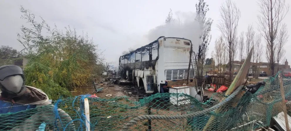 Las llamas devoraron un colectivo y murieron cinco perros