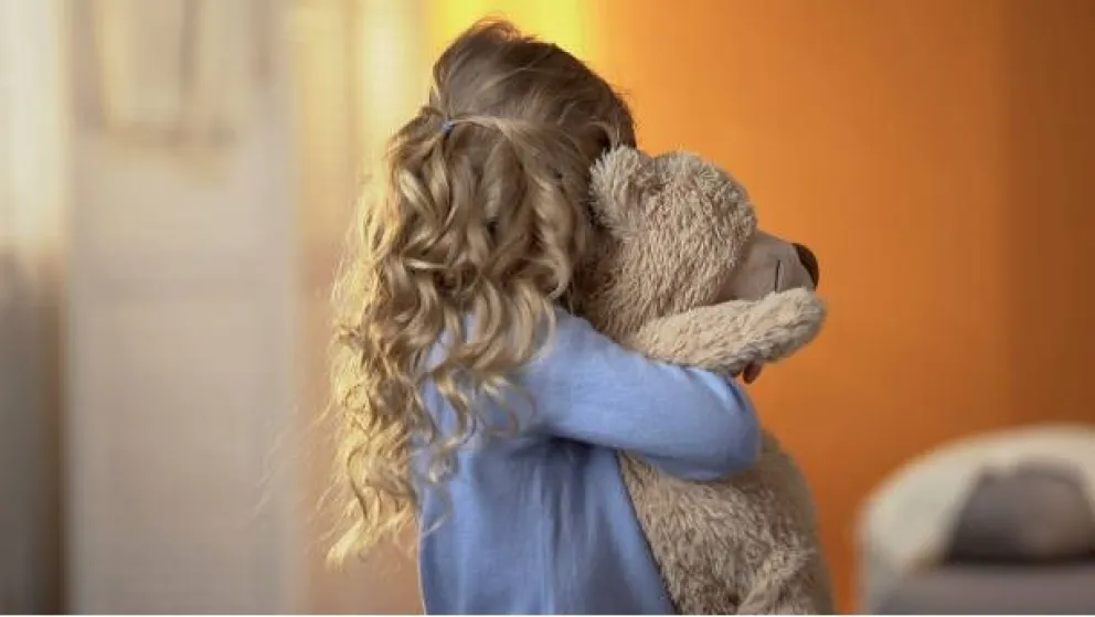 Viedma: el papá no se quiso hacer cargo de una niña y su hermana mayor pidió la tenencia