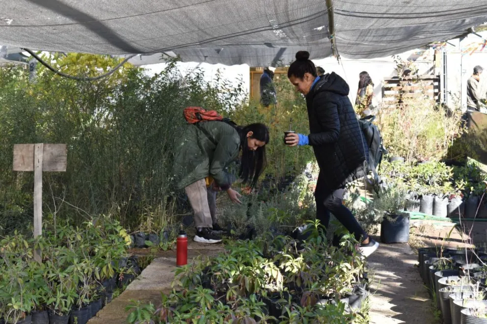 El Día de los Viveros en Patagones fue todo un éxito