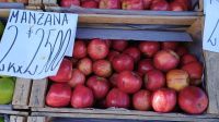 El tamaño importa en cuanto a los costos de las frutas en la Feria Municipal