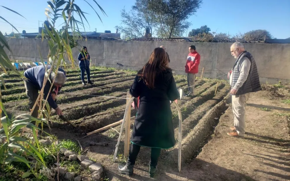 El CADEM ya cuenta con su propio microinvernadero