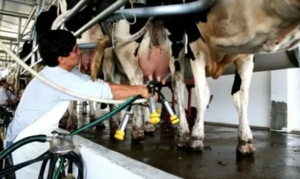 Fuerte caída en el consumo de leche pone en riesgo a la industria láctea