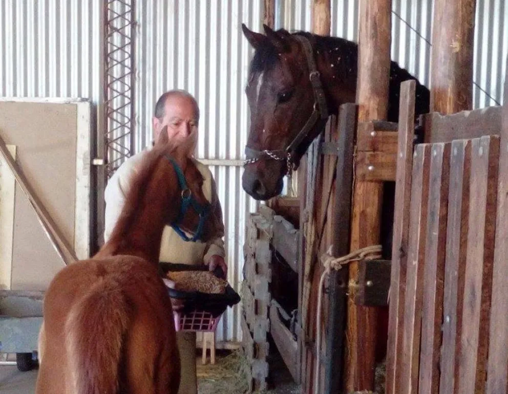 Desaparecen caballos de carrera medicados y andan vendiendo la carne