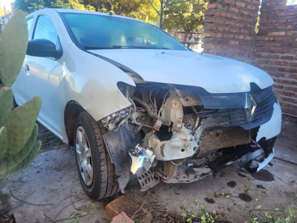 Se le cruzó un jabalí en plena noche y destrozó el auto