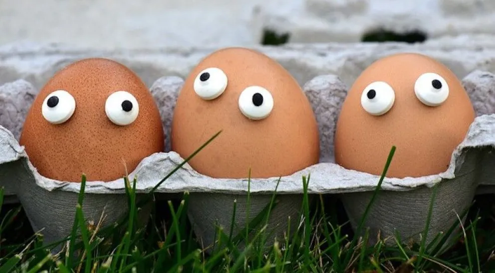 Reutilizá y reciclá: Mirá los usos ingeniosos para las cajas de huevos en casa