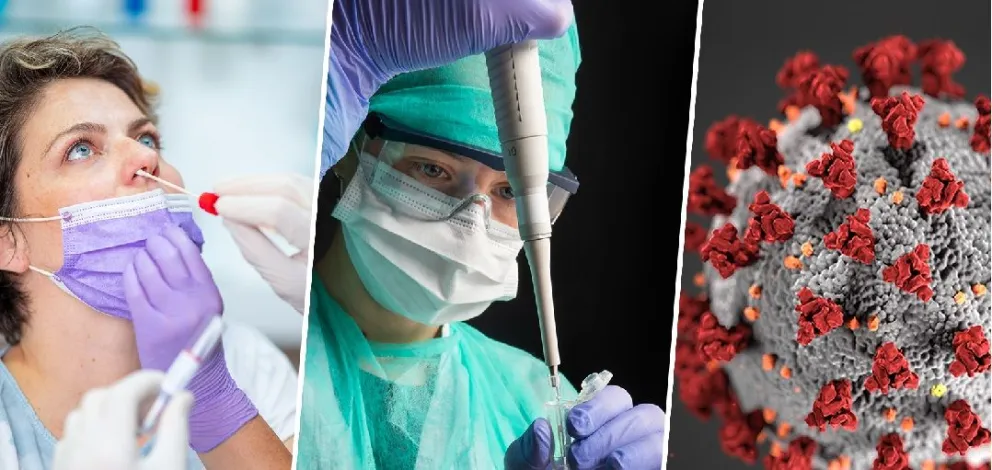 Impacto devastador: La pandemia redujo la esperanza de vida en casi dos años