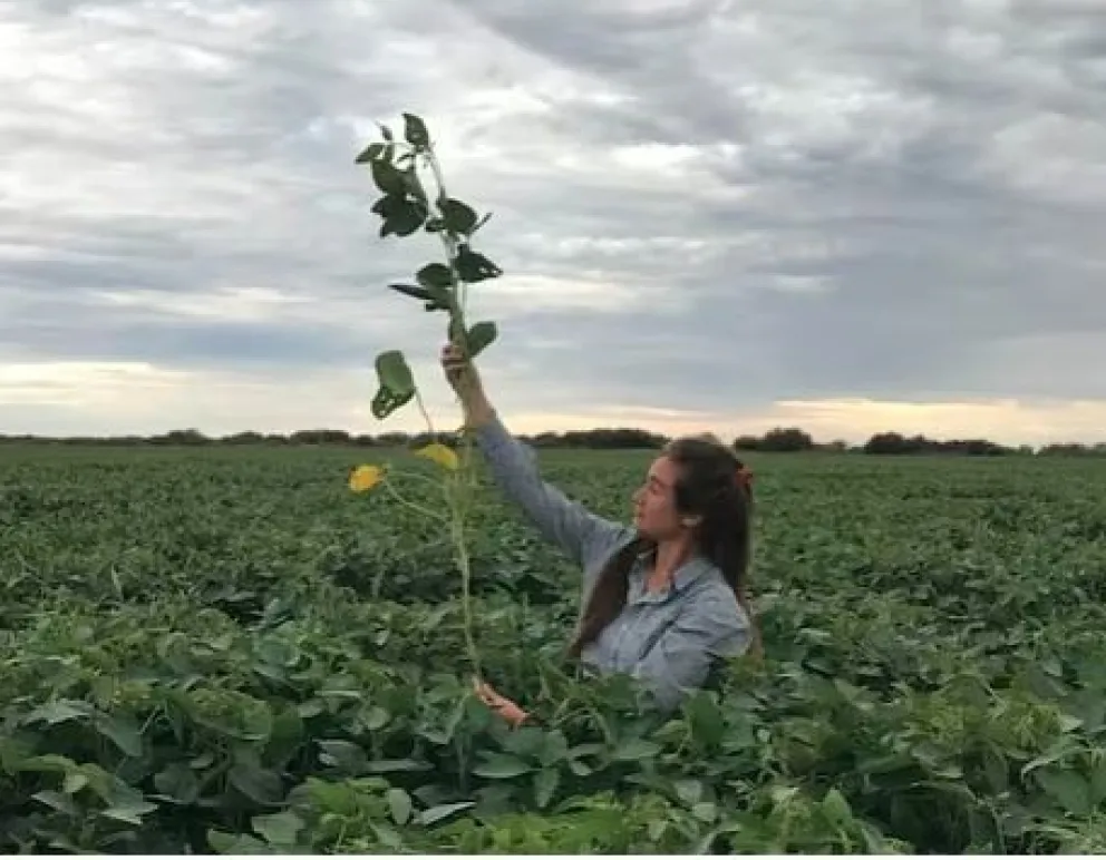 El éxito genera un impacto positivo en la producción agrícola argentina
