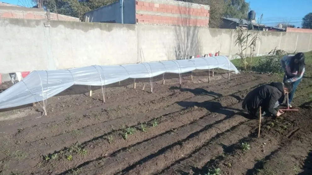 Huertas comunitarias: una alternativa de autogestión para generar alimentos