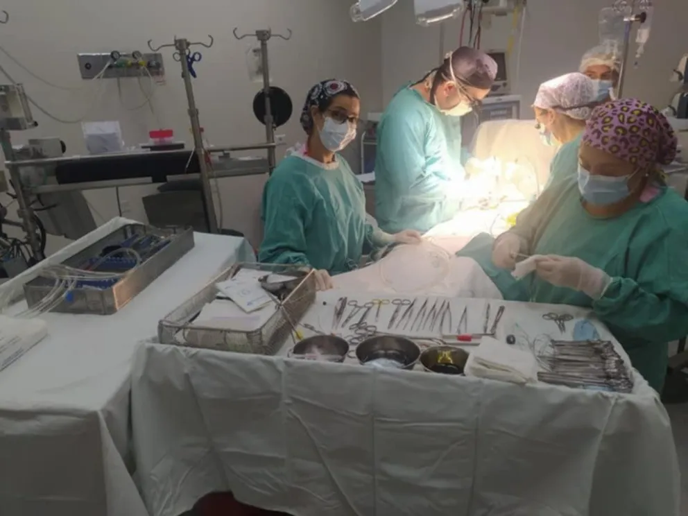 Crece la falta de insumos médicos en gran parte del país: siguen las demoras de operaciones