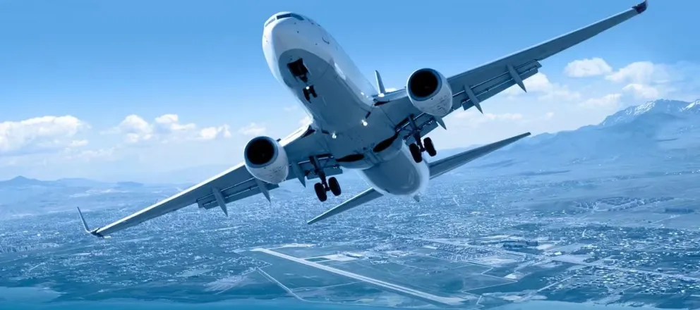 Conmoción en el aire: un pasajero desnudo atacó a una azafata en pleno vuelo