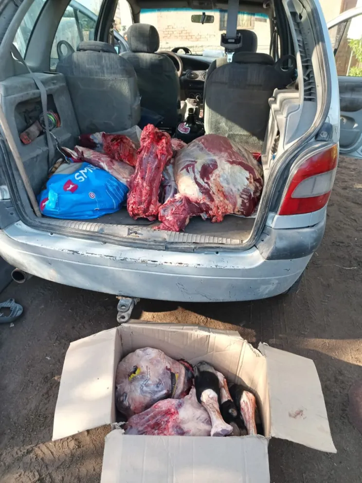 Los detenidos por abigeato están en la unidad penal de Villa Floresta