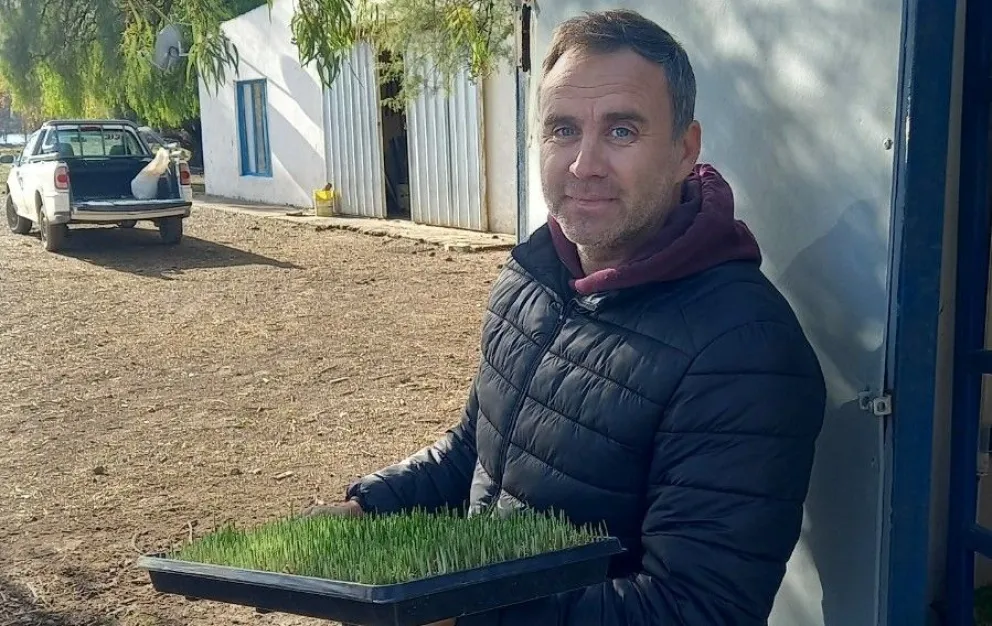 Impulso a emprendimientos sustentables: apoyo a la innovación y eficiencia