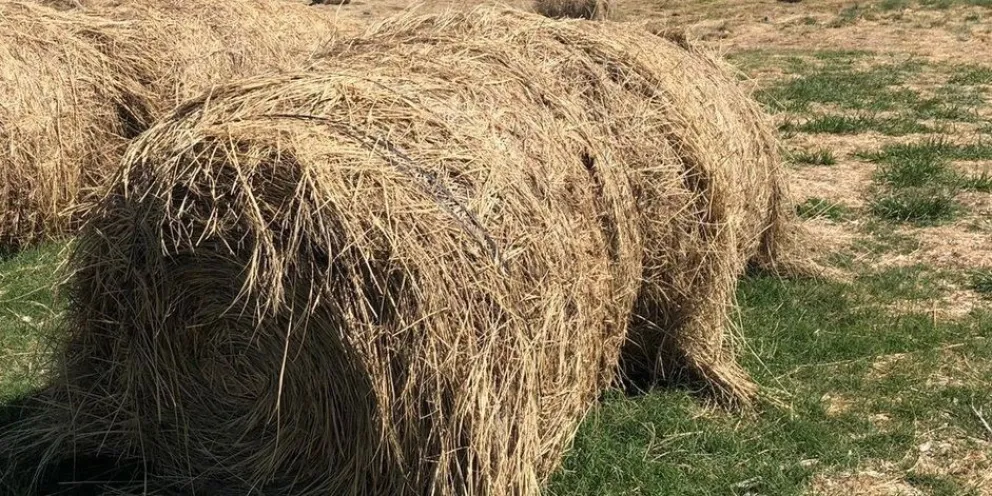 Se anticipa un verano con temperaturas extremas.
