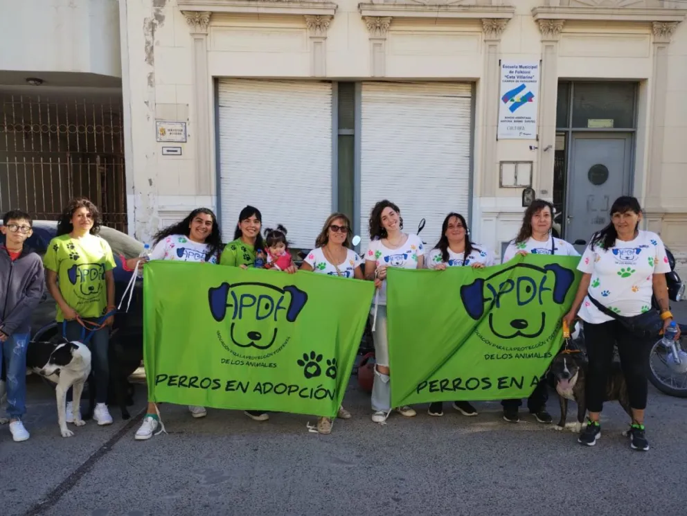 El Refugio de perros y gatos de Patagones pide la colaboración de los vecinos de la Comarca