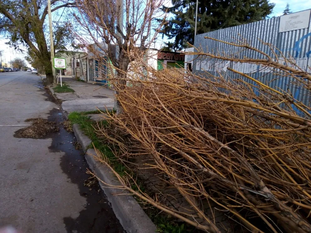 Hay consejos sobre qué hacer para el manejo adecuado de los restos