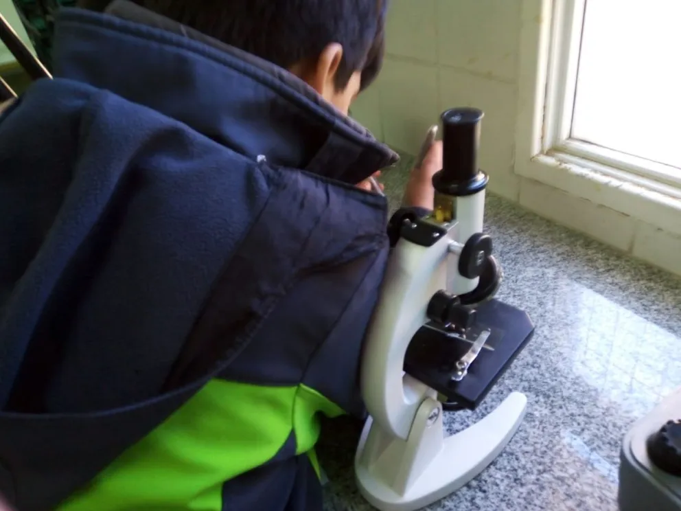 La escuela 308 mostró los trabajos de los talleres como una segunda estrategia pedagógica