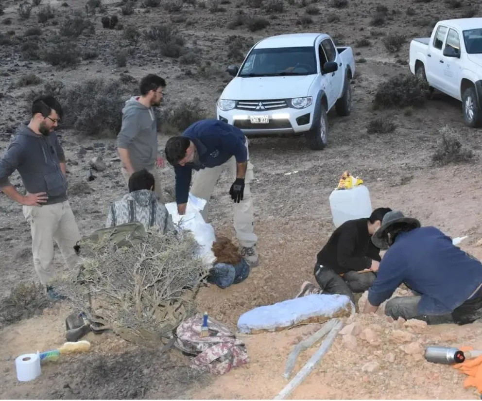 Descubrieron en Río Negro el fósil de un lagarto de 70 millones de años