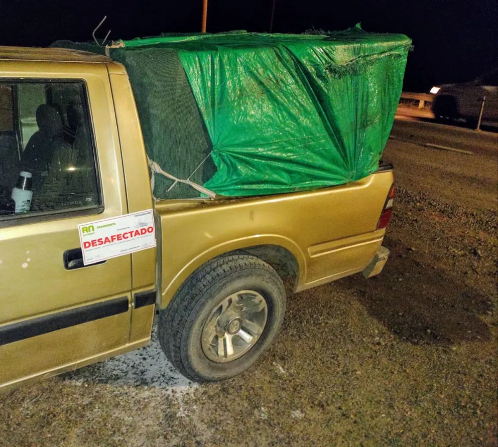 El ocultador de peones vino desde la provincia de Mendoza 