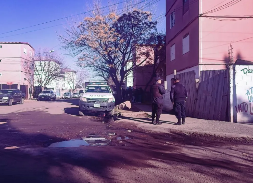 Allanamientos y un amplio despliegue policial permitió desarticular una banda dedicada al delito en Viedma 
